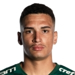 Henri Marinho dos Santos