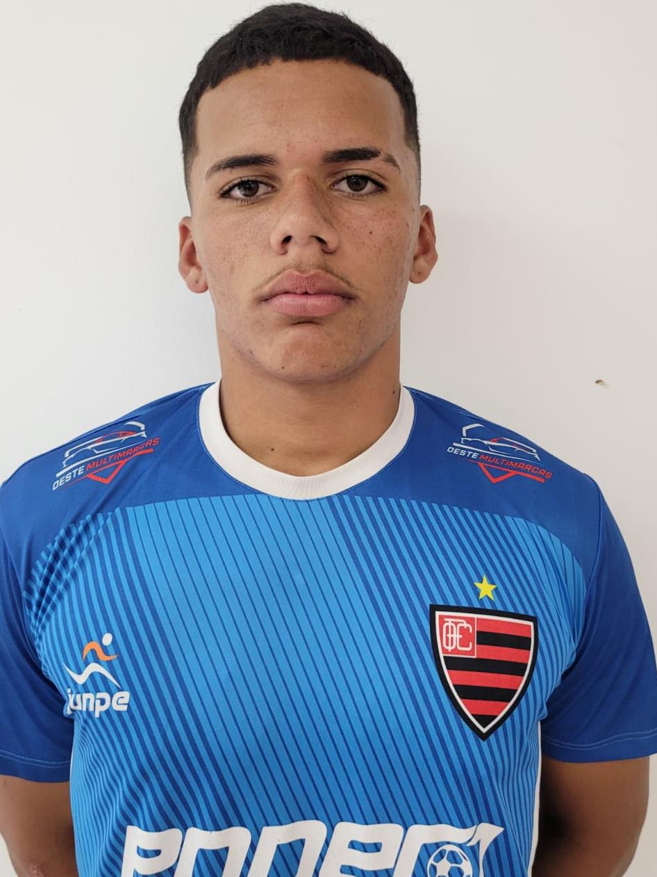Renato Vinicios dos Santos Lima